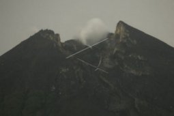 Gunung Merapi mengeluarkan lava pijar hampir 1Km