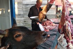 Harga daging di Aceh Jaya capai Rp160 ribu-Rp170 ribu/Kg