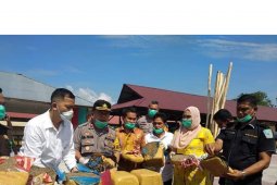 Polres Madina musnahkan barang bukti ganja