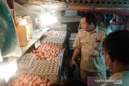 Harga telur ayam di Ambon Rp2.500/butir