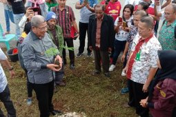 FKPA Tual-Malra tanam 1.000 bibit pohon di Langgur