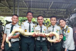 Polbangtan Medan studi banding ke PT. Hetts Biolestari