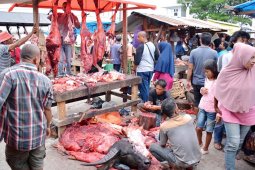 Tradisi "meugang" potong 80 sapi di Sabang