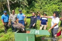 PT Timah-Alobi dan KSDA Sumsel lepas satwa liar di BIO