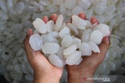 Harga kolang kaling naik