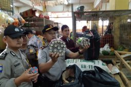 Polisi amankan ribuan petasan berbagai jenis dari gudang penyimpanan di Sukabumi
