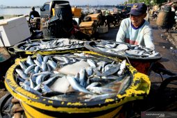 Kebutuhan ikan di bulan Ramadhan