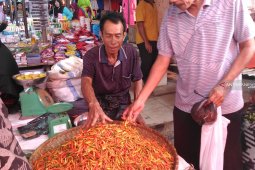 Harga "rica" di Gorontalo Utara turun