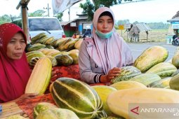 Buah "krai" Banyuwangi hanya muncul di bulan Ramadhan