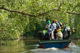 Sungai Kuin Kecil Destinasi Wisata