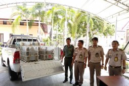 Karantina Samarinda gagalkan penyelundupan ratusan ekor burung