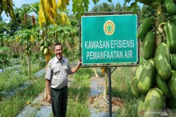 Balittra Kementan dorong pemanfaatan teknologi pengairan di lahan rawa