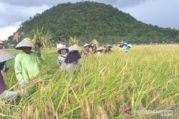 Realisasi penanaman modal triwulan I-2019 di Kalbar capai Rp5,35 triliun