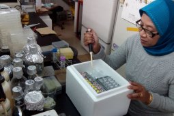Penderita diabetes-obesitas bisa konsumsi tepung ubi kayu