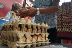 IRT "buru" telur  ayam ras di Pasar Tani Banda Aceh