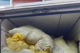 BNN amankan 300 kilogram ganja di antara karung limbah B3