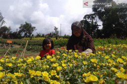 Ini agenda pariwisata Rejang Lebong tahun ini