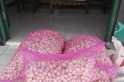 Satgas Pamtas 643/Wns gagalkan penyelundupan bawang putih-gula pasir ilegal