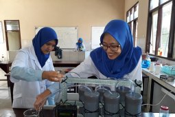 Pelajar Kediri manfaatkan kitosan dari larva lalat hitam atasi pencemaran logam berat (Video)