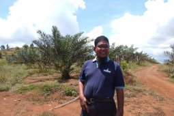 Lahan tandus di Aceh ditanami pohon kurma