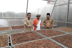 Rejang Lebong optimalkan kopi dan aren