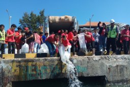 Pelepasan ikan tandai "Fang Shen" Waisak di Bali