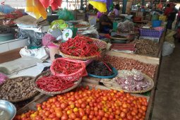 Bawang putih mulai langka di Manokwari, Papua Barat