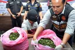 Penyelundupan daun tanaman Khat