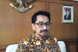 Program optimalisasi lahan rawa Kementan tercapai 30.000 hektare