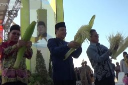 Kotabaru harapkan kedatangan investor lewat Saijaan Expo 2019