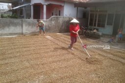 Harga jual kopi di Rejang Lebong turun