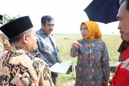 Bupati Serang pantau lokasi Islamic Centre Syech Nawawi Albantani