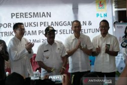 PLN Babel dukung program Eco Green Island Belitung