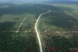 Peneliti : Laju urbanisasi ancam sektor pertanian nasional