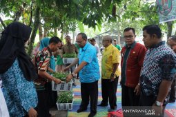 Pemkab Asahan bagikan 35 ribu polybag bibit cabai