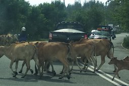 Hati-hati saat mudik, ini sejumlah titik rawan di Aceh Jaya