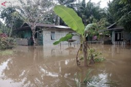 Tujuh wilayah di Kabupaten Penajam terendam banjir