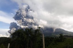 Sinabung Erupsi