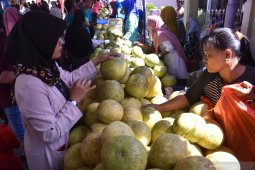 Festival Kampung Pamelo