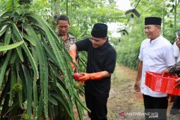 Bupati Banyuwangi dorong petani buah naga beralih sistem semiorganik