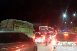 Buah pisang Lampung mengalir ke Jawa