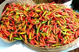 Harga cabai rawit naik, cabai merah turun di Tebing Tinggi