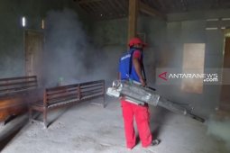 Enam warga Ngawi meninggal akibat DBD
