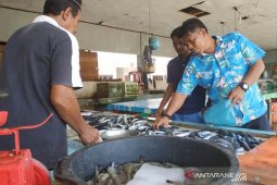Nelayan Aceh Jaya belum melaut, ikan dipasok dari luar