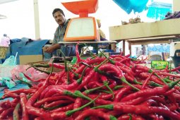 Inflasi di Lhokseumawe dipengaruhi lonjakan harga bahan makanan
