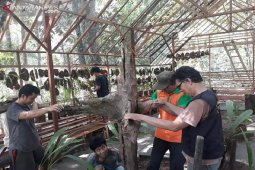 KPH Tabalong bentuk rumah konservasi Anggrek