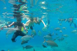 Lima destinasi surga ikan Raja Ampat