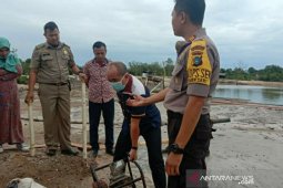 Wali Kota Pangkalpinang pastikan akan tindak tegas penambang ilegal
