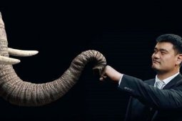 Yao Ming terpilih sebagai Presiden  ABC