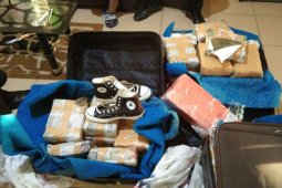Polresta Banda Aceh  tangkap tersangka kepemilikan 61  kg ganja